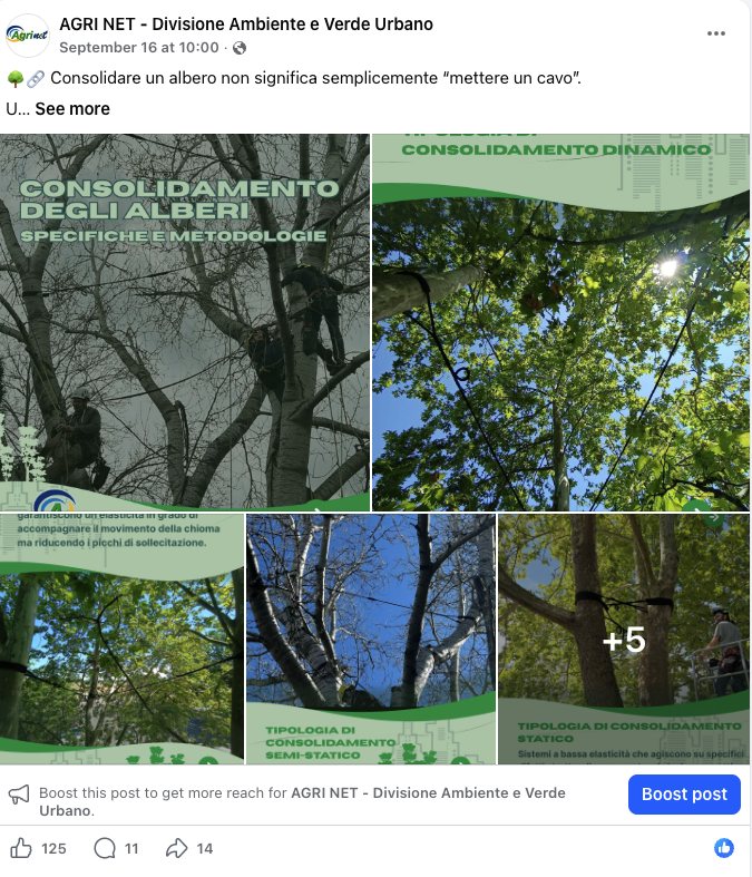 Carosello Facebook sul consolidamento degli alberi