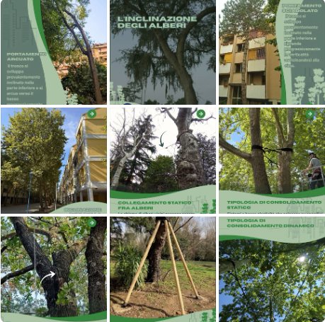 Griglia di post social di AgriNet